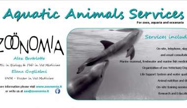 Aquatic Animals Services - a brand new service