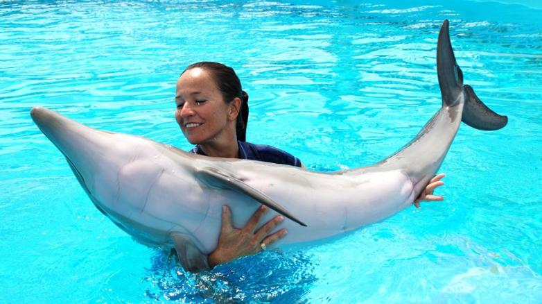 Animal training - Introductory course