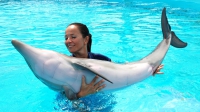 Animal training - Introductory course