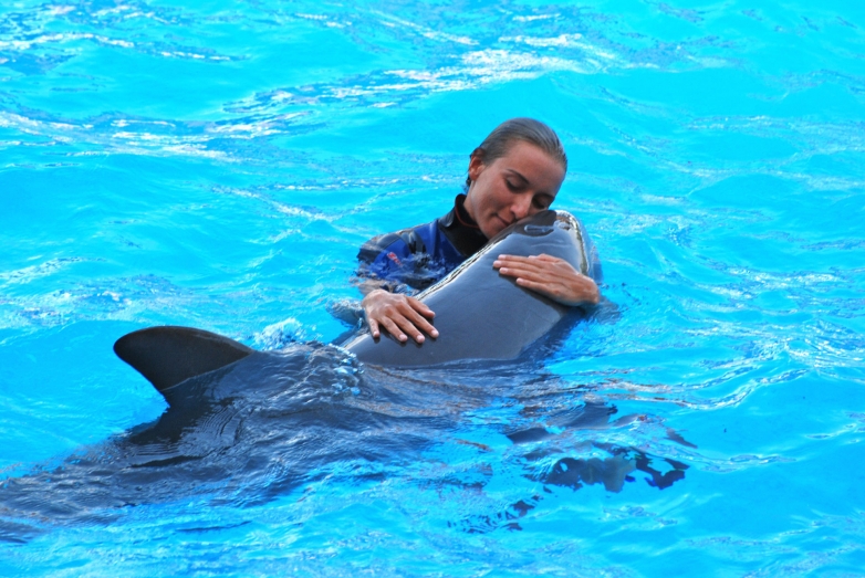 1-2 november 2014 - Animal Training Introductory Course at Tampere