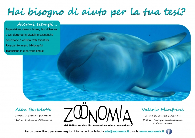 Redazione, consulenza e traduzione testi scientifici - il nuovo servizio disponibile da aprile 2018